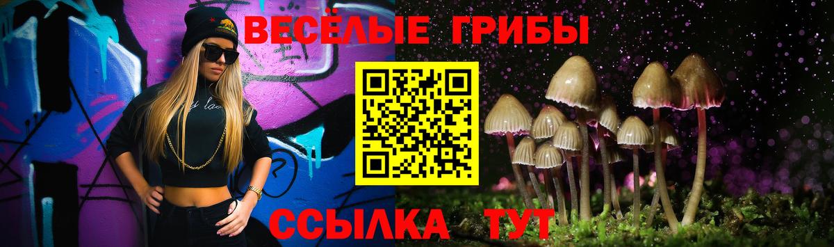 Псилоцибиновые грибы Cubensis Тавда