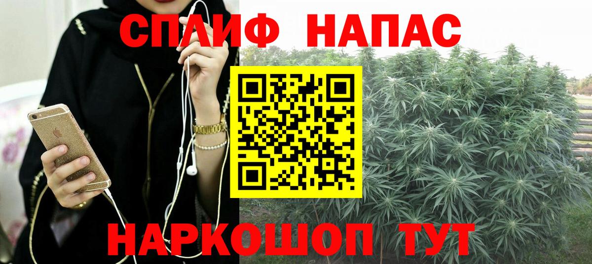 Марихуана марихуана Тавда